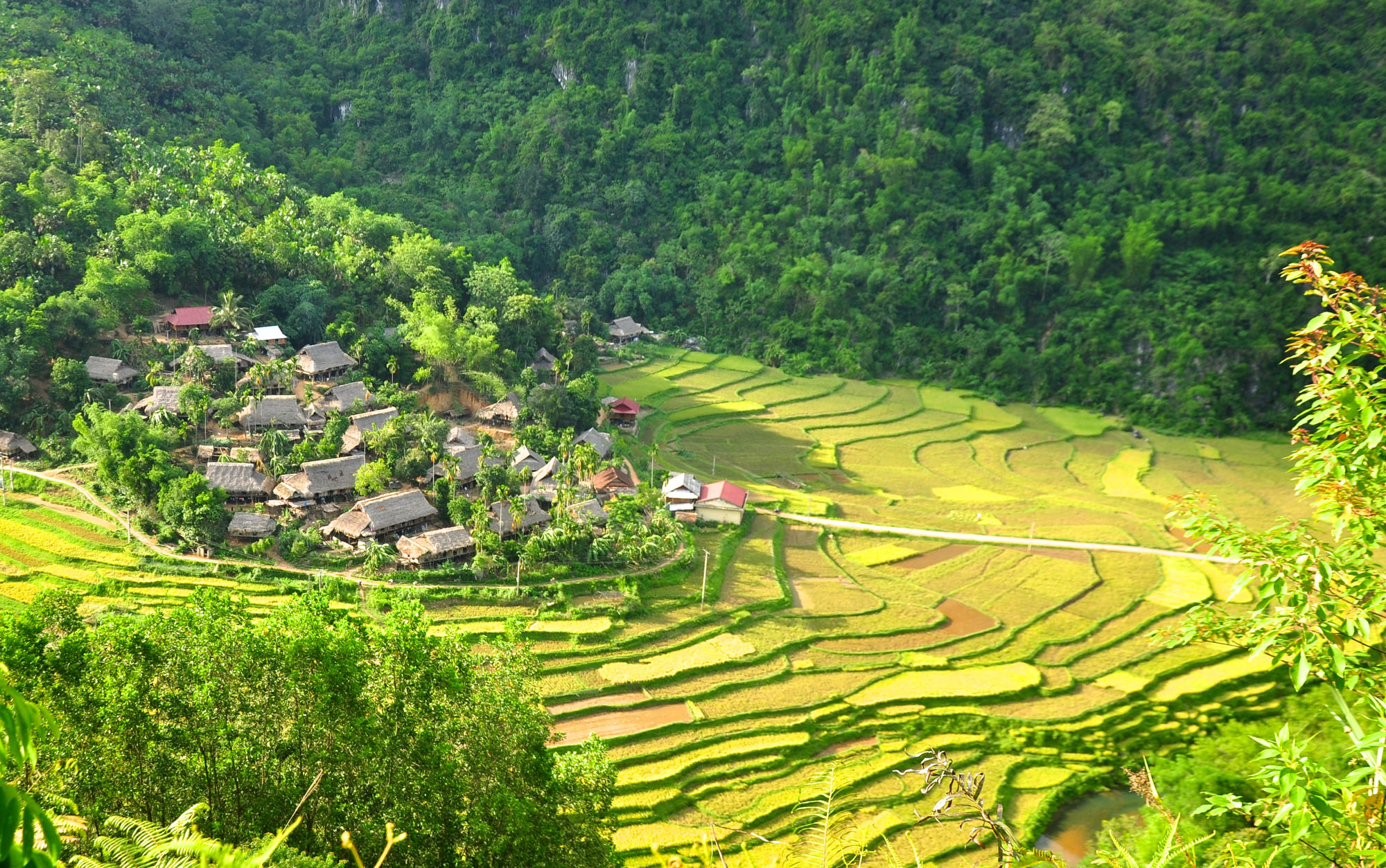Puluong_retreat_Vietnam_landscape17